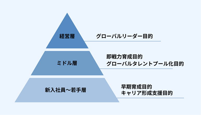人材育成ピラミッド